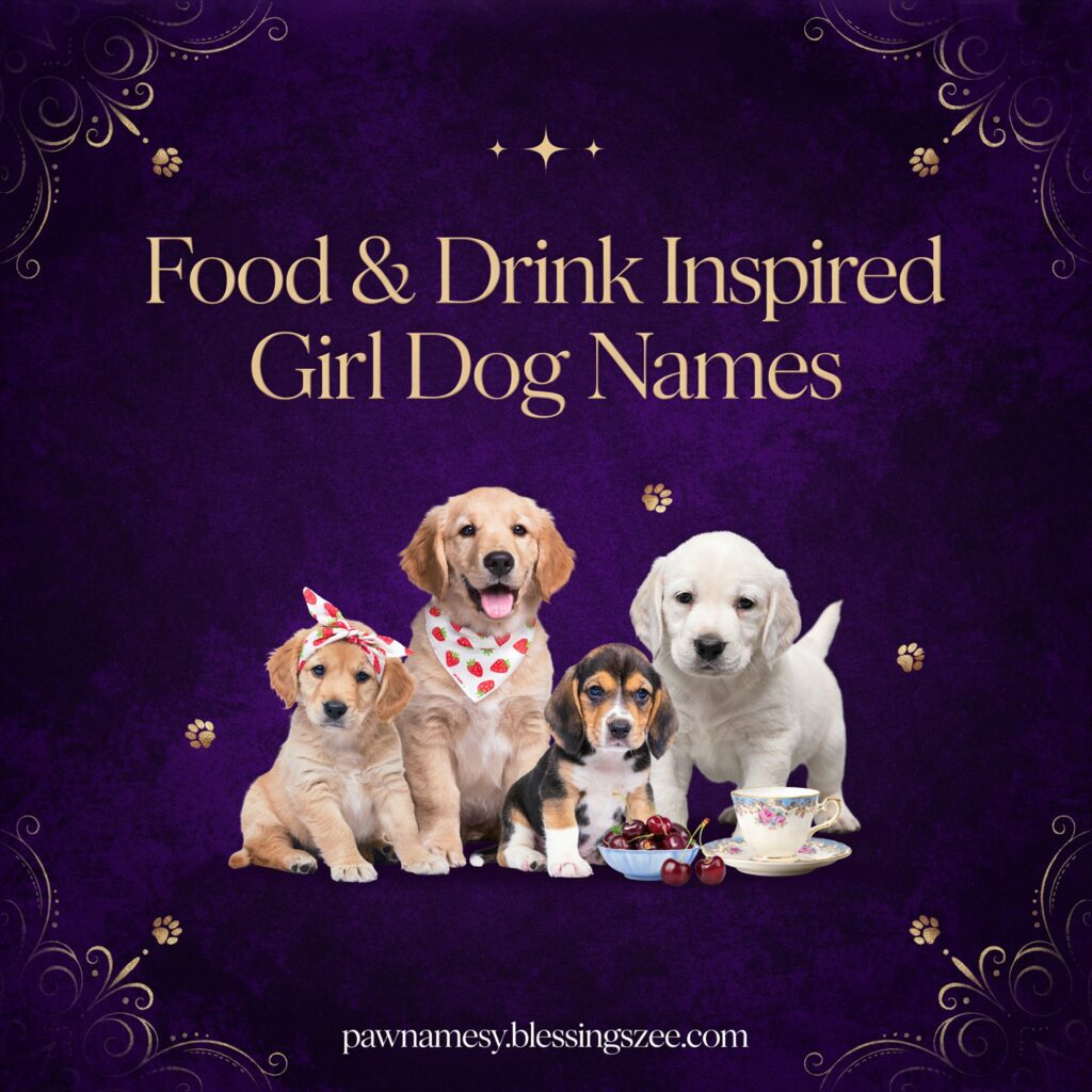 Food & Drink Inspired Girl Dog Names