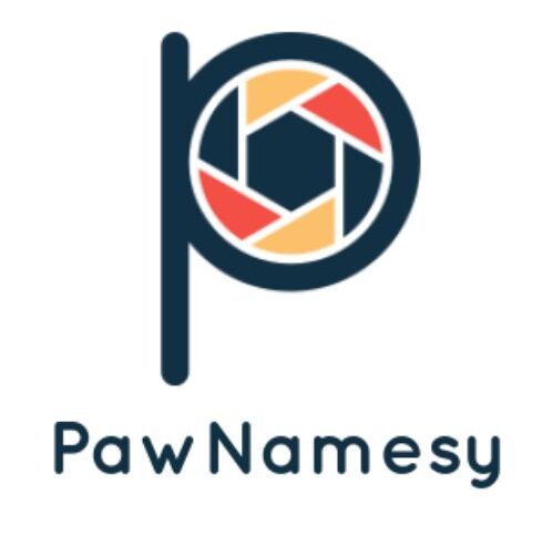 pawnamesy.blessingszee.com